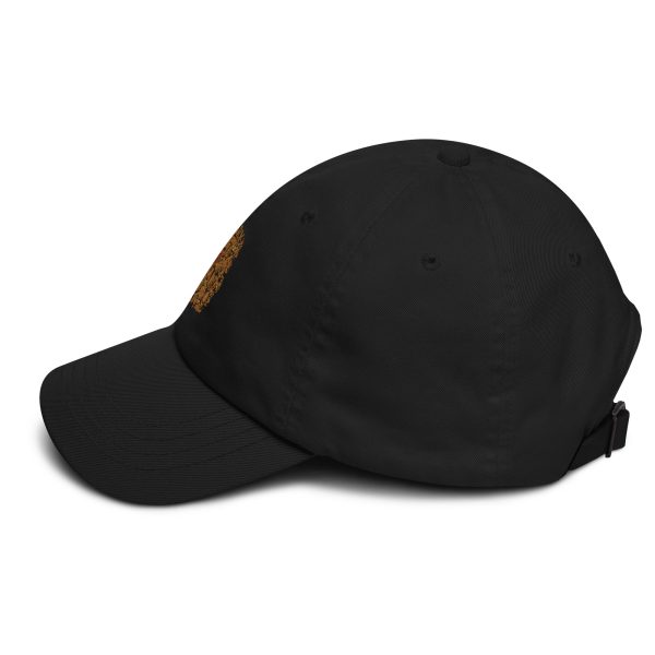 classic-dad-hat-black-left-6a1509896f70c.jpg Dad hat